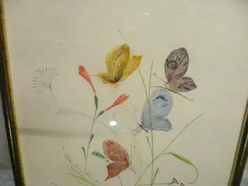 Serrano C.O "Schmetterlinge" datiert 1987 Aquarell  perfekt ausgeführtes naturalistisches Aquarell signiert: =O C.Serranno  oder C.O.Serrano