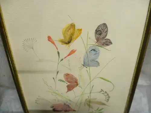 Serrano C.O "Schmetterlinge" datiert 1987 Aquarell  perfekt ausgeführtes naturalistisches Aquarell signiert: =O C.Serranno  oder C.O.Serrano
