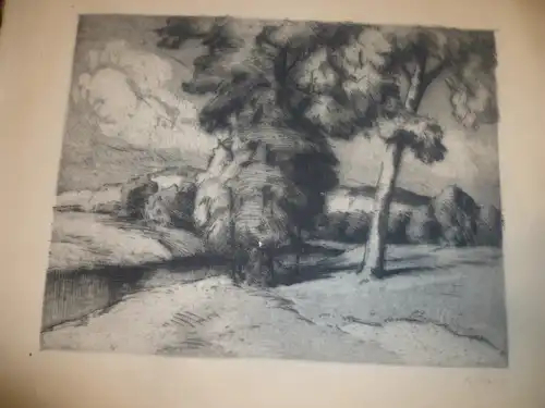 Jokisch Eduard 1867-1943 " Bachlauf mit Birken " u. signiert u 1918 datiert