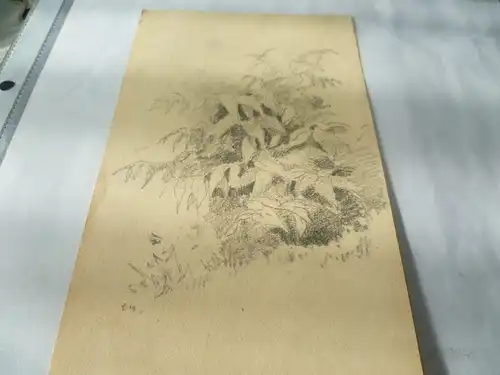 Gauermann Friedrich  1807-Wien1862 "Reiche Pflanzenstudien auf einer Anhöhe " Deutschrömer !