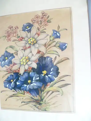 Renner Adolf bedeutendes großes Aquarell signiert Renner Adolf 31.08. 1945 Enzian und andere Alpenblumen 
