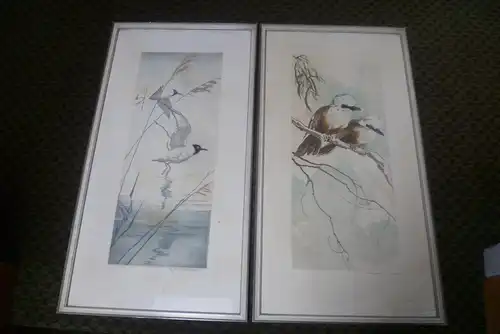 Art Deko Japan/China 2 signierte Lithographien Finken Paar auf Ast sitzend + Möwen am See um 1930-45  von Hand koloriert in originaler Rahmung!