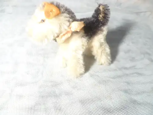 Alter kleiner STEIFF - Hund, mit Glöckchen und Glasaugen "Airedale Foxterrier "  1951 bis 1957 hergestellt 9 x 8 cm