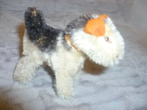 Alter kleiner STEIFF - Hund, mit Glöckchen und Glasaugen "Airedale Foxterrier "  1951 bis 1957 hergestellt 9 x 8 cm