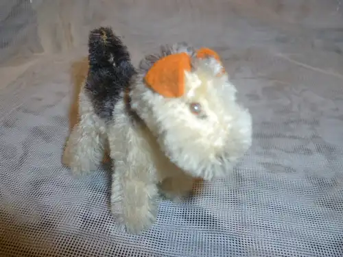 Alter kleiner STEIFF - Hund, mit Glöckchen und Glasaugen "Airedale Foxterrier "  1951 bis 1957 hergestellt 9 x 8 cm