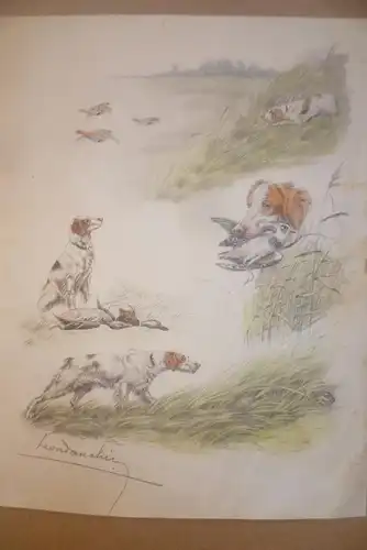 Léon Danchin 1887-Lilli-1938 "Irische Setter bei der Jagd" Mischtechnik : Kohle Farbstifte  entstanden in Bergues im Französisch-Flandern um 1920-35