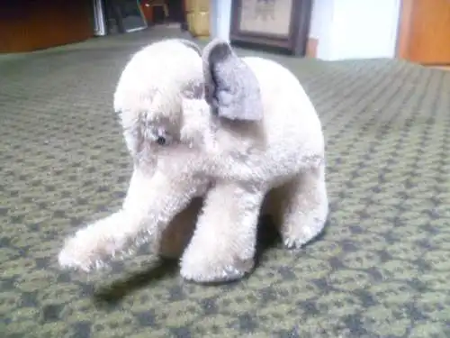 Vintage Steiff Grau-Mohair Elefant  fest mit Holzwolle ausgestopft Maße: Höhe ca 10,5cm x 12,5cm Länge und 6cm Breite Hergestellt aus kurzgeschnittenem Mohair, Filz-Ohren, Baumwoll-Schwanzschnur, Glas- & Kunststoffaugen Zustand: sehr gut Vintage,...