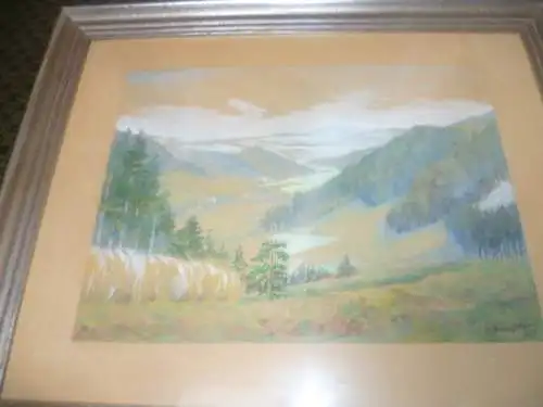 Böttcher O ? Schwarzwald  Talansicht mit  See und Bauernhäusern Aquarell signiert  datiert 1947