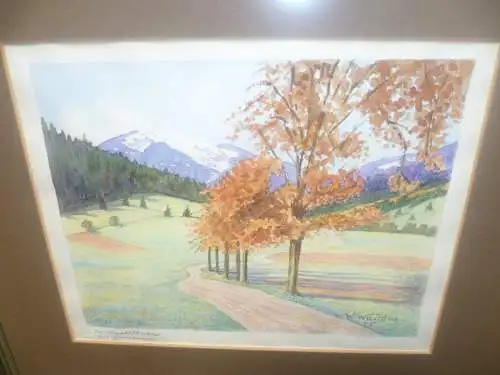 Aquarell Menzenschwand Krunkelbachtal mit Herzogenhorn W.Wendlin 1975 sehr farbenfrisch erhalten Masse in Galerie Rahmen  gerahmt: 50 x 41 cm