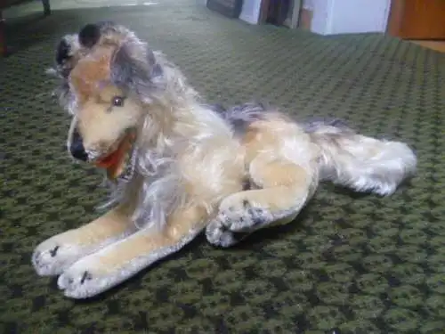 Steiff 1325/02  junger Collie hergestellt 1960-67 sehr selten am Markt