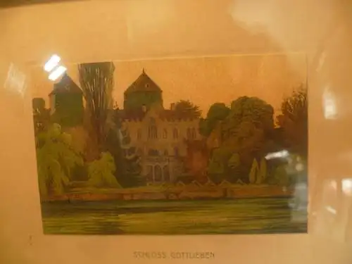 Ernst Emil Schlatter 1883-1955 - ein Grafiker und Maler "Schloss Gottlieben "