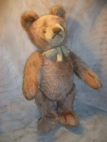 Roland ein Charakter Steiff seltener Honig Bär in Zimtfarben von 1951 in der Art Nr: 408434 H: 35cm !!