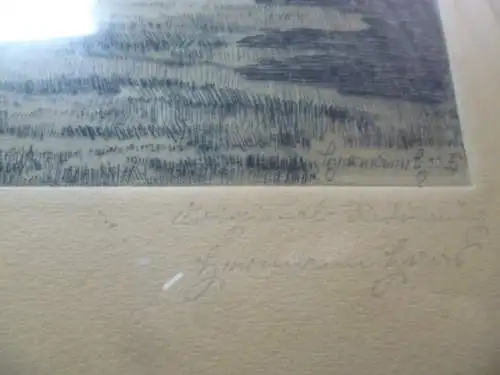 Herrmann ter Haar1867-1938 "Kühe in Landschaft" Farbradierung um 1900 selten!! links Titel   rechts signiert , in der Platte ebenfalls signiert