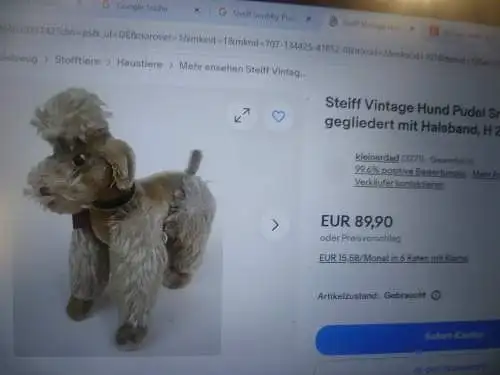 Um 1950 Vintage Steiff Snobby Pudel-Hund Nr.5322 