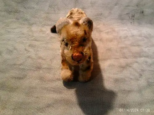 Steiff Leopard Mohair Plüsch, nur 1955-61 gefertigt Steiff Tagged laufender Leopard Knopf..