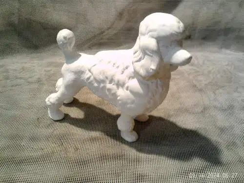 Pudel Poodle Figurine Figure Porzellan Figur Hund Hundefigur um 1970 aus der Vitrine in der Art Meissen / Sitzendorf etc  sehr naturell !