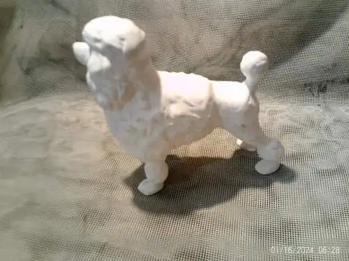 Pudel Poodle Figurine Figure Porzellan Figur Hund Hundefigur um 1970 aus der Vitrine in der Art Meissen / Sitzendorf etc  sehr naturell !