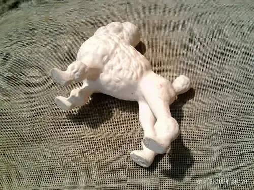 Pudel Poodle Figurine Figure Porzellan Figur Hund Hundefigur um 1970 aus der Vitrine in der Art Meissen / Sitzendorf etc  sehr naturell !