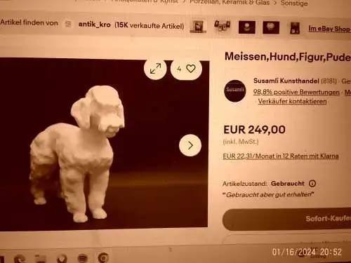 Pudel Poodle Figurine Figure Porzellan Figur Hund Hundefigur um 1970 aus der Vitrine in der Art Meissen / Sitzendorf etc  sehr naturell !