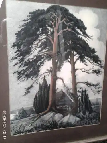Hans Schönwald farbige Litho arbeite 1930 in der Förderei Darss Rügen "Worpswede Bauernhäuser 