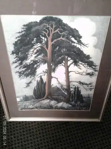Hans Schönwald farbige Litho arbeite 1930 in der Förderei Darss Rügen "Worpswede Bauernhäuser 