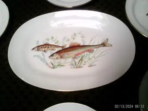 Richard Ginori Italien Fischservice 60 Jahre 6 Personen Essteller und Servierplatte !!