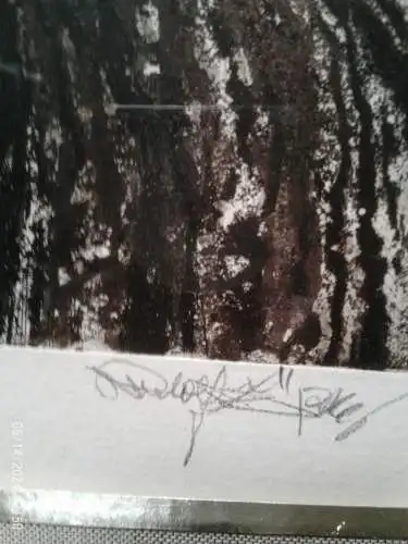 " Bauernhöfe mit bestelltem Feld " Ländliche Lithographie  Rudolf Alois Zörner 
