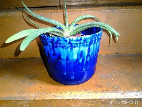 Scheurich Blumentopf Gerda Heukeroth Formnr: 822-17  Fat Lave aus den 1960-69 Jahren Fat Lava blau schwarz H: 32 cm Durchmesser: cm 18 cm 