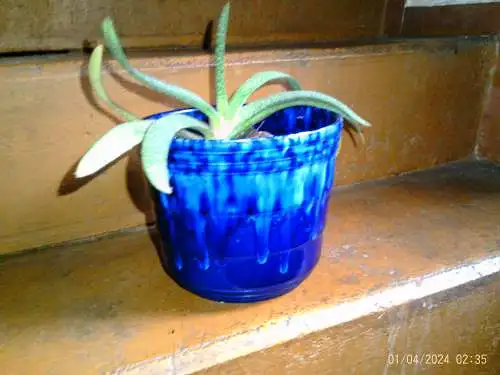 Scheurich Blumentopf Gerda Heukeroth Formnr: 822-17  Fat Lave aus den 1960-69 Jahren Fat Lava blau schwarz H: 32 cm Durchmesser: cm 18 cm 