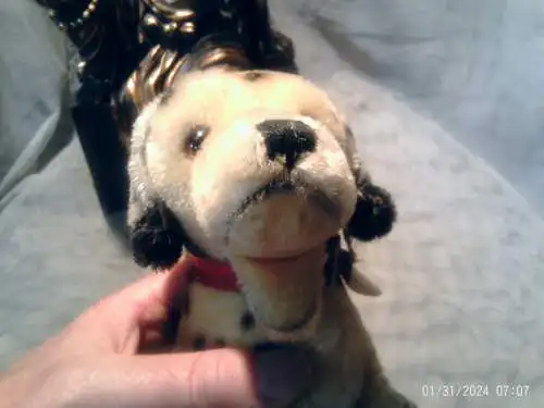 Alter Steiff Hund - Dalmatiner Dally - 17 cm - Knopf + Fahne + Halsband von 1963 unbespielter originaler Zustand !