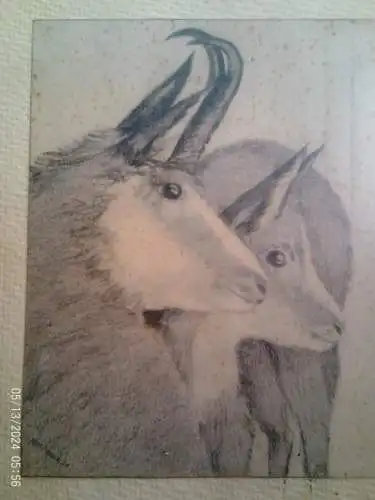  8. Kompanie des Gebirgsjäger-Regiments 99 (GJR 99) Bad Hindelang "Gämsepaar Hirschfang-Alm" Truppenmaler m Hettinger datiert 1939 