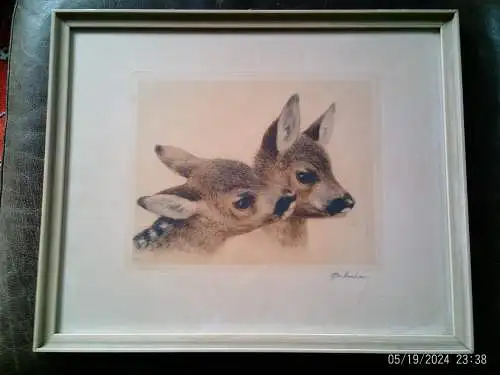 Kurt Meyer-Eberhardt 1895Leipzig 1977 München "paar Rehlitze" Farbradierung aug Kupferdruckpapier