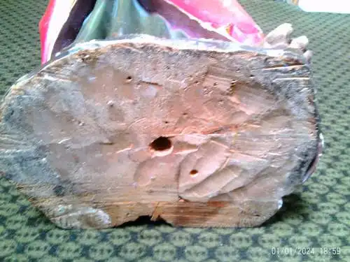 Museumswürdige Nazarenerstatue des Heiligen Johannes aus dem 19. Jahrhundert, Meersburger Schule – Meisterhaft geschnitzte Hände und Evangelium, Original-Polychromie, 100 cm, Nr. II.