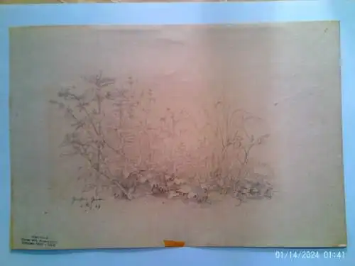 Oscar von Alvensleben, Dresden 1831-1903" Naturstudie im Großen Garten Dresden" datiert 1867