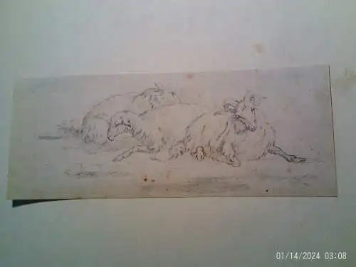 Karl Julius von Leypold (1806Dresden1874 Niederlößnitz) „Studienblatt mit ruhenden Schafen und Widder“ Schüler Johan Christian Dahl.