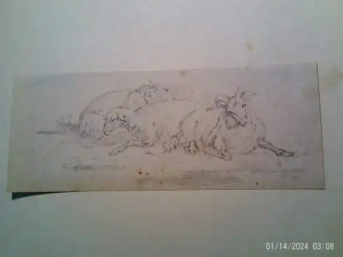 Karl Julius von Leypold (1806Dresden1874 Niederlößnitz) „Studienblatt mit ruhenden Schafen und Widder“ Schüler Johan Christian Dahl.