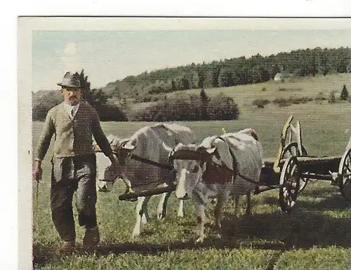 Sammelbild. Der Staat der Arbeit und des Friedens, Folge II, Bild 52: Bauer aus dem Bayrischem Wald