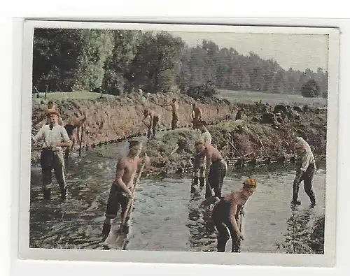 Sammelbild. Der Staat der Arbeit und des Friedens, Folge II, Bild 89:Mellorationen des freiwiligen Arbeitsdienstes bei Luckenwalde