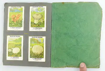 Sammelalbum: Zigarettenfabrik Reunion Einheimische Pilze 96 essbare Pilze e852