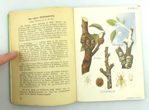 Buch: Reiche Ernte durch Pflanzenschutz - Obst- und Gartenbau e1019
