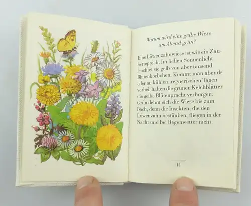 #e6164 Minibuch: Die Wiese in der Hosentasche von Günther Feustel 1. Auflage