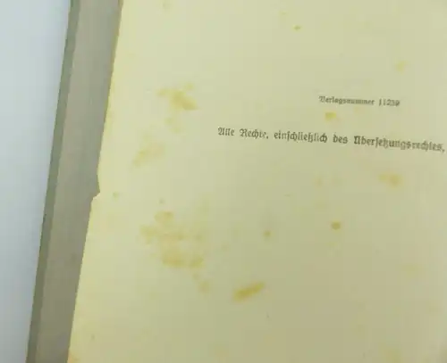 e6113 Buch: Grundzüge der Pflanzenkunde für höhere Lehranstalten Leipzig 1928