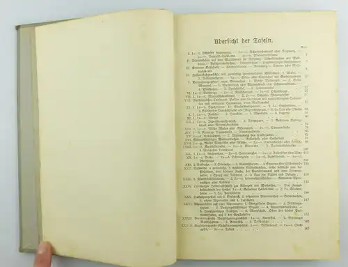 e6113 Buch: Grundzüge der Pflanzenkunde für höhere Lehranstalten Leipzig 1928