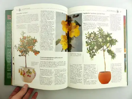Buch: Das große Buch der Zimmerpflanzen erfolgreich pflegen e1187