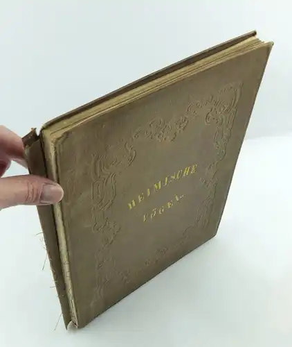 #e8740 Altes Buch von 1870 Heimische Vögel von Hugo Bürkner mit 50 Holzschnitten