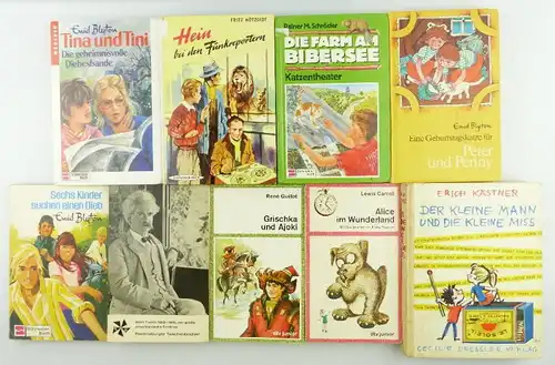 9 Kinderbücher /Jugendbücher: Die Farm am Bibersee e999