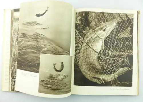 Buch: Petri Heil! von Sláva Stochl, Artia Prag mit vielen Abbildungen e1264