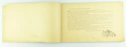 E10970 Die 5 Schreckensteiner ihre Streiche und Abenteuer altes Buch von Barlog