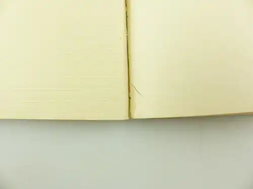 e11071 Der Schnellmaler ein neues Bilderbuch von Hans Probst München Auflage 2