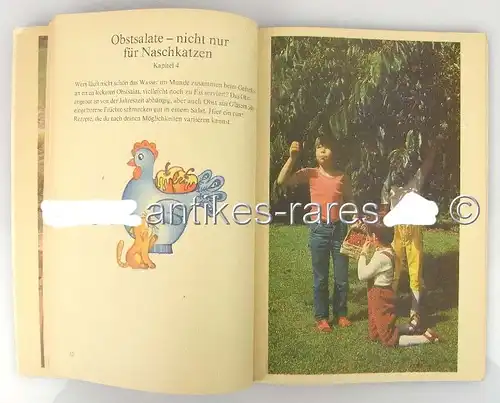 ischlein deck dich, Salatbuch für Kinder 1988